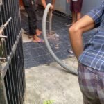 WhatsApp Image 2026-02-17 at 16.47.43